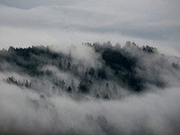 Lozier Hill Swathed in Fog